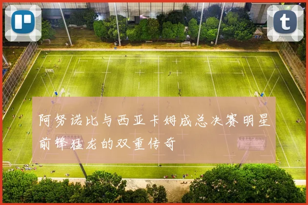 阿努诺比与西亚卡姆成总决赛明星前锋猛龙的双重传奇
